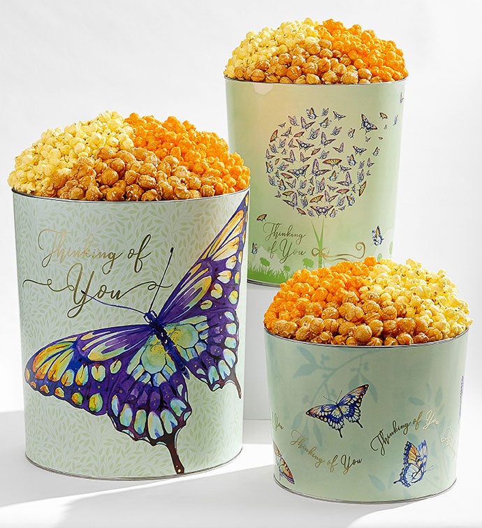 Butterfly Wishes 6 1/2 Gallon 3 Flavor Popcorn Tin
